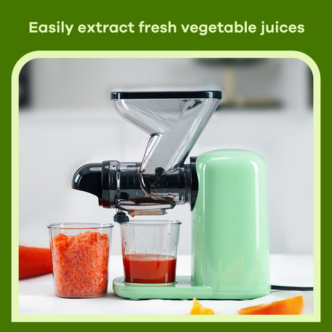 Mini Slow Masticating Juicer Machines, Cold Press Fruits & Vegetables Juice Extractor w/ Reverse Function, Easy to Clean, Quiet Motor