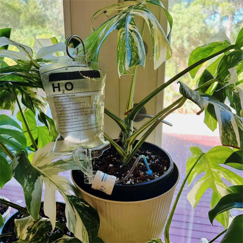 Automatic Plant Life Houseplant Watering Device